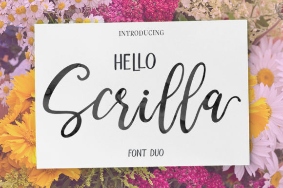 Hello Scrilla Script Font: A Stylish Addition to Your Design Toolkit